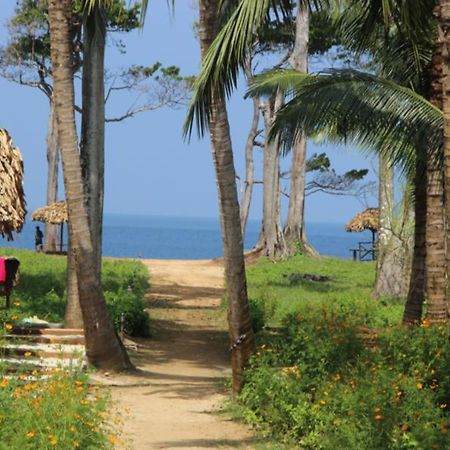 Pearl Park Beach Resort-Neil Island Lakshmanpur المظهر الخارجي الصورة