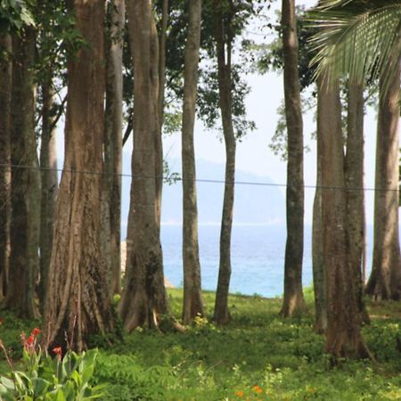 Pearl Park Beach Resort-Neil Island Lakshmanpur المظهر الخارجي الصورة