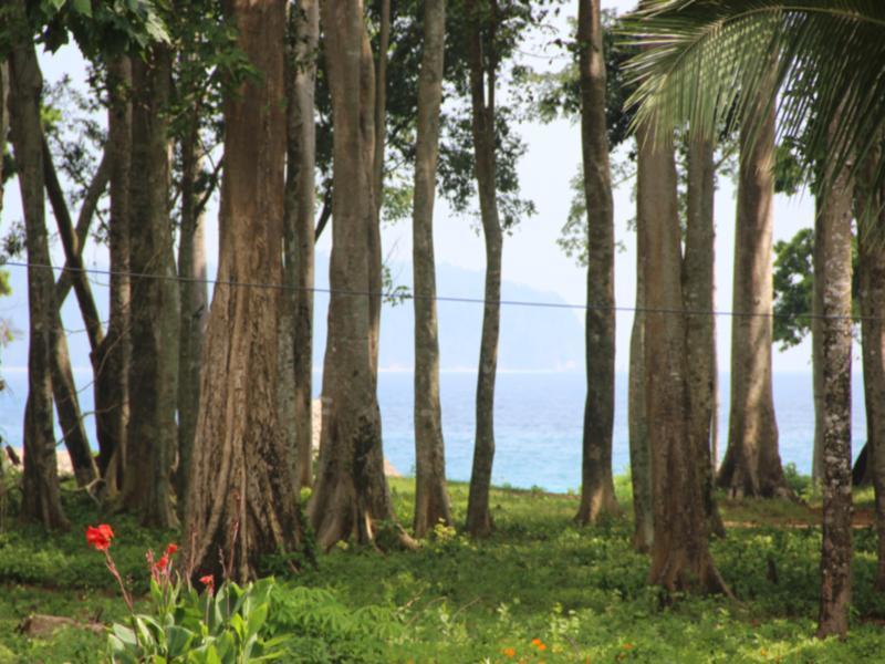 Pearl Park Beach Resort-Neil Island Lakshmanpur المظهر الخارجي الصورة